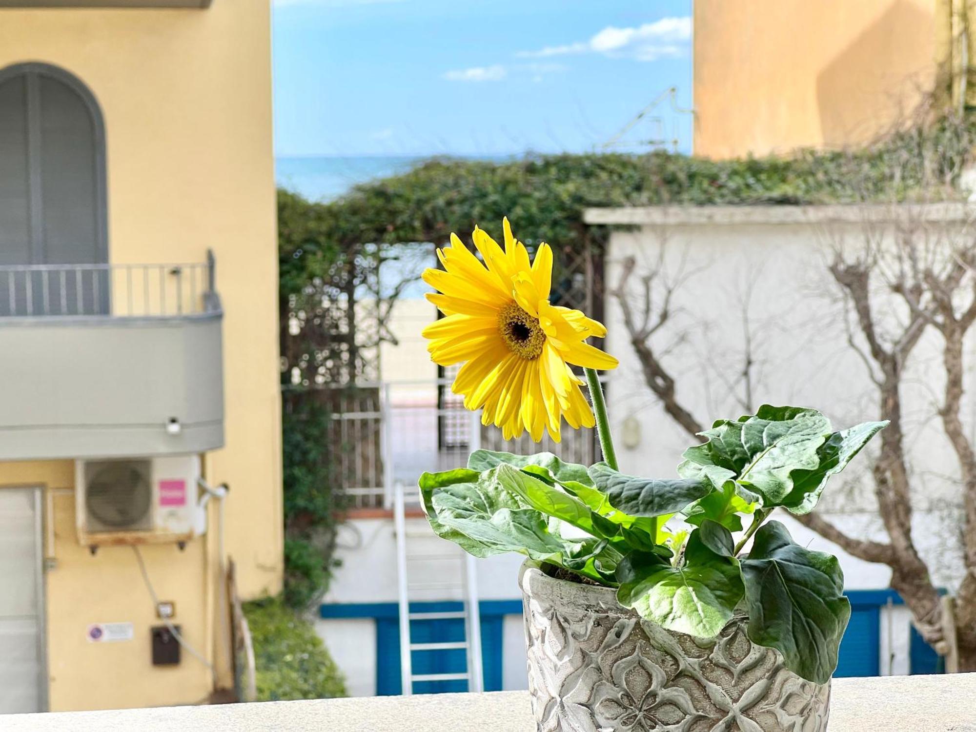 Mono Rosina, Aria Condizionata E Balcone A Soli 50 Metri Dal Mare! By Alfareal Castiglione della Pescaia Luaran gambar